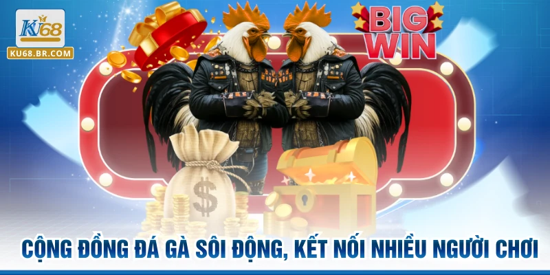 Cộng đồng đá gà sôi động, kết nối nhiều người chơi