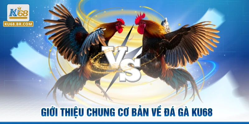 Giới thiệu chung cơ bản về Đá GÀ KU68