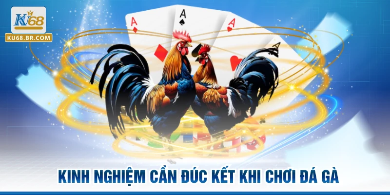 Kinh nghiệm cần đúc kết khi chơi đá gà