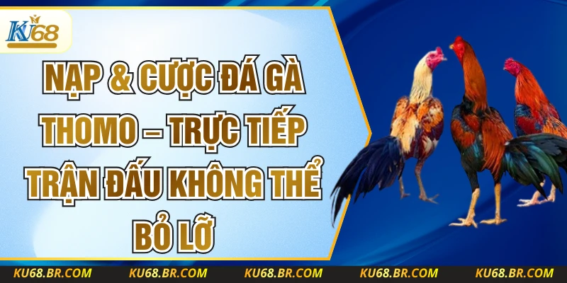 Nạp & Cược Đá Gà Thomo – Trực Tiếp Trận Đấu Không Thể Bỏ Lỡ