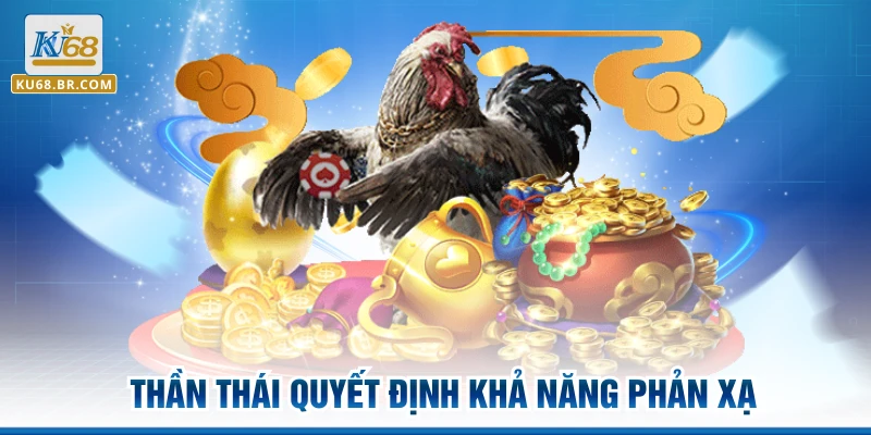 Thần thái quyết định khả năng phản xạ