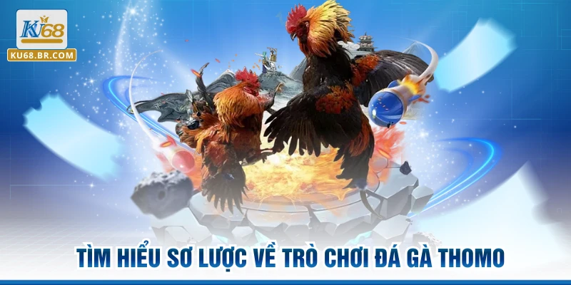 Tìm hiểu sơ lược về trò chơi đá gà thomo